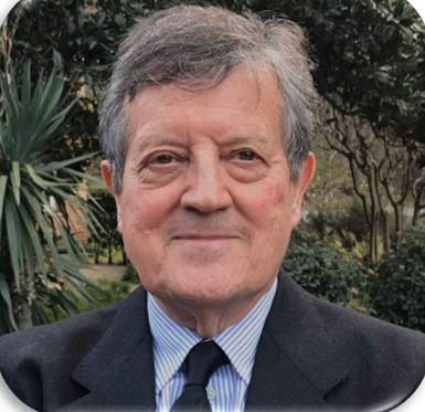 Gonzalo Mateos, Ph.D. (España)