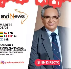 Avicultores bolivianos: “Abrir los mercados con medidas de bioseguridad para venta segura de pollo”