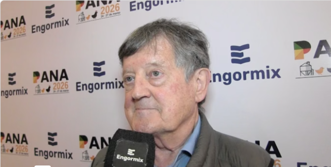 Trigo entero en Broilers: Que la molleja funcione